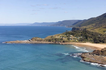 Комки жира и запах гниющей плоти: на сиднейском пляже медленно разлагается 25-тонный кашалот