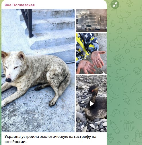 "Скромненько, стиснув зубы": Горькие слова Поплавской о катастрофе на юге России. Молчать невозможно