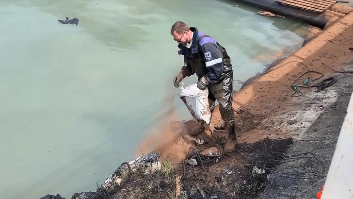 «Если до жары не уберут мазут из моря, будем думать о переезде»: пенсионерка из Туапсе рассказала о ситуации в городе