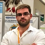«Удержать 30-метрового зауропода когтями — не лучший вариант»: почему у тираннозавра были такие крошечные «лапки»?